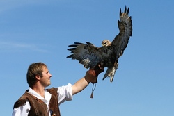 Natur und Action: Kurpfalzpark