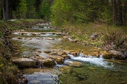 -ABGESAGT-Leben in der Prien - ein spannender Vormittag am und im Wasser!