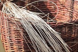 Weidenflechten