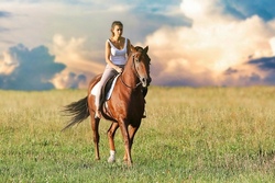 Pony Erlebnistag 3