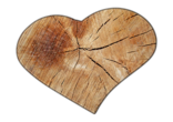 Kreatives Bauen in und mit der Natur