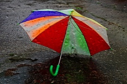 „Unter dem bunten Schirm“ – eine Vorlese-, Erlebnis- und Bastelstunde zum Bilderbuchbuch „Das Zebra mit dem Regenschirm“