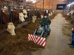 Bauernhof mit allen Sinnen entdecken II