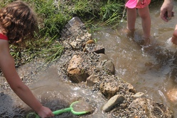 Bu&szlig;- und Bettag