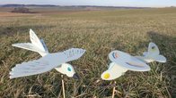 Mini-Birds: Bauen, Verstehen, Fliegen