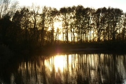 Irgendwo ist immer S&uuml;den Jugendtheater