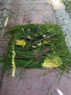 Naturerlebnistage - Osterfreizeit