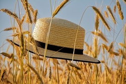 1. Woche Sommerferienprogramm