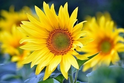 3. Woche Sommerferienprogramm