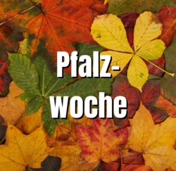 Pfalzwoche