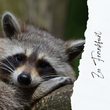 Tagesausflug in den Frankfurter Zoo