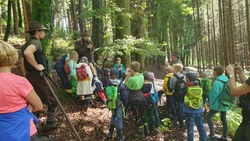 Mit dem Jäger durch den Wald