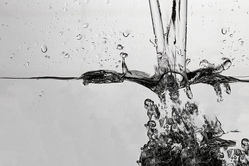 Wasserwerk in Action