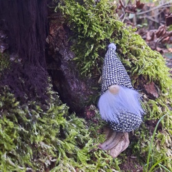 Die Waldwichtel suchen ein neues Zuhause