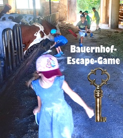 Bauernhof Escape Game