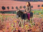 Eine digitale Reise durch das Sauerland