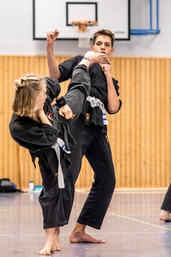 Kampfsport-Action und Selbstverteidigung Viet Vo Dao für Jugend