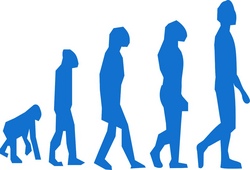 Das Geheimnis der Evolution