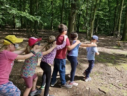 Mit allen Sinnen den Wald entdecken 