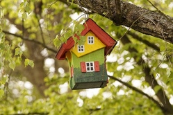 Vogelnistkasten bauen