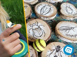 Kreative Insektendetektive