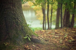 Mit dem Jäger in der Natur unterwegs - ABGESAGT