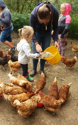 Ei, Ei was macht denn Hilde da?