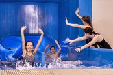 Wasserflöhe-Wasserdisco