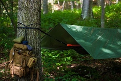 WildnisGartenCamp 2025