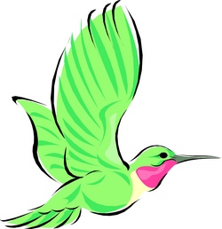 Die Welt der Vögel