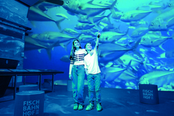 Multivision im Fischbahnhof 360°