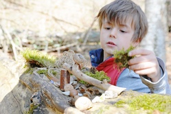 NaturEntdeckerCamp - Offenland am Buchschirm