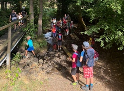 NaturEntdeckerCamp - Natur schmecken & erleben