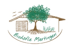 Vom Mehl zum Pfannkuchen