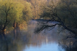 Dschungelexpedition am Neckar