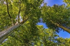 Kletter-Workshop in der Natur 1 - Leider abgesagt!