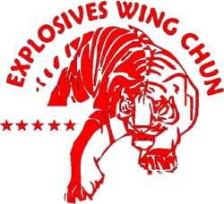 Wing-Chun Kung-Fu 1