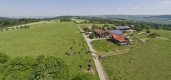 Der Bauernhof - Ein tierisches Erlebnis