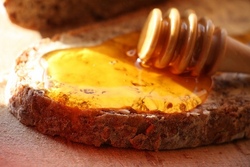 Bienen- und Honigwelt erkunden