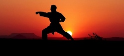 Karate Kids 1