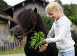 Entdecke die Welt der Pferde und Landwirtschaft