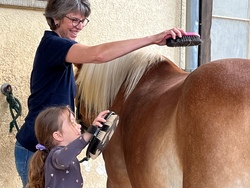 Reitstunden für geflüchtete und sozial benachteiligte Kinder - AUSGEBUCHT