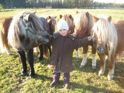 Geführte Ponywanderung in den Lechauen