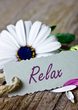 Deine Wellness-Auszeit - entspannen und genießen
