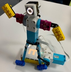 Coding und Robotik