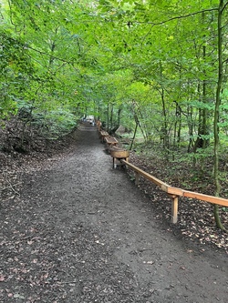 Waldkugelbahn Mettingen mit Picknick