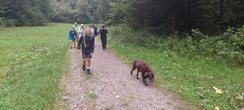 Ausflug zum Monbachtal
