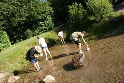 Erlebnistag mit Bachsafari am schw&auml;bischen Fischereihof in Salgen