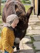 Stärkende Ferienbetreuung in der Tierischen Lebensschule Mutgeflüster
