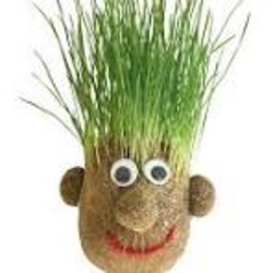 Kr&auml;uter T&ouml;pfe